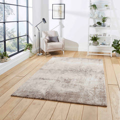 Florence 50034 Beige/Silver Rug