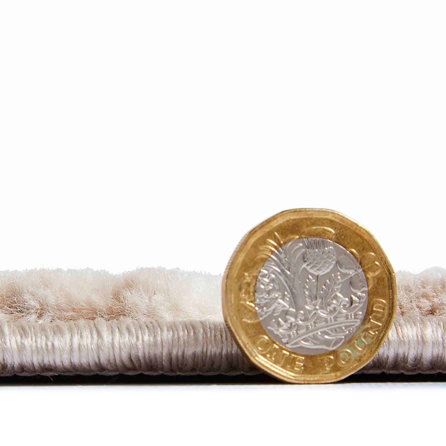 Florence 50034 Beige/Silver Rug