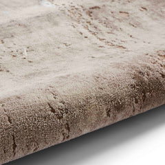 Florence 50034 Beige/Silver Rug